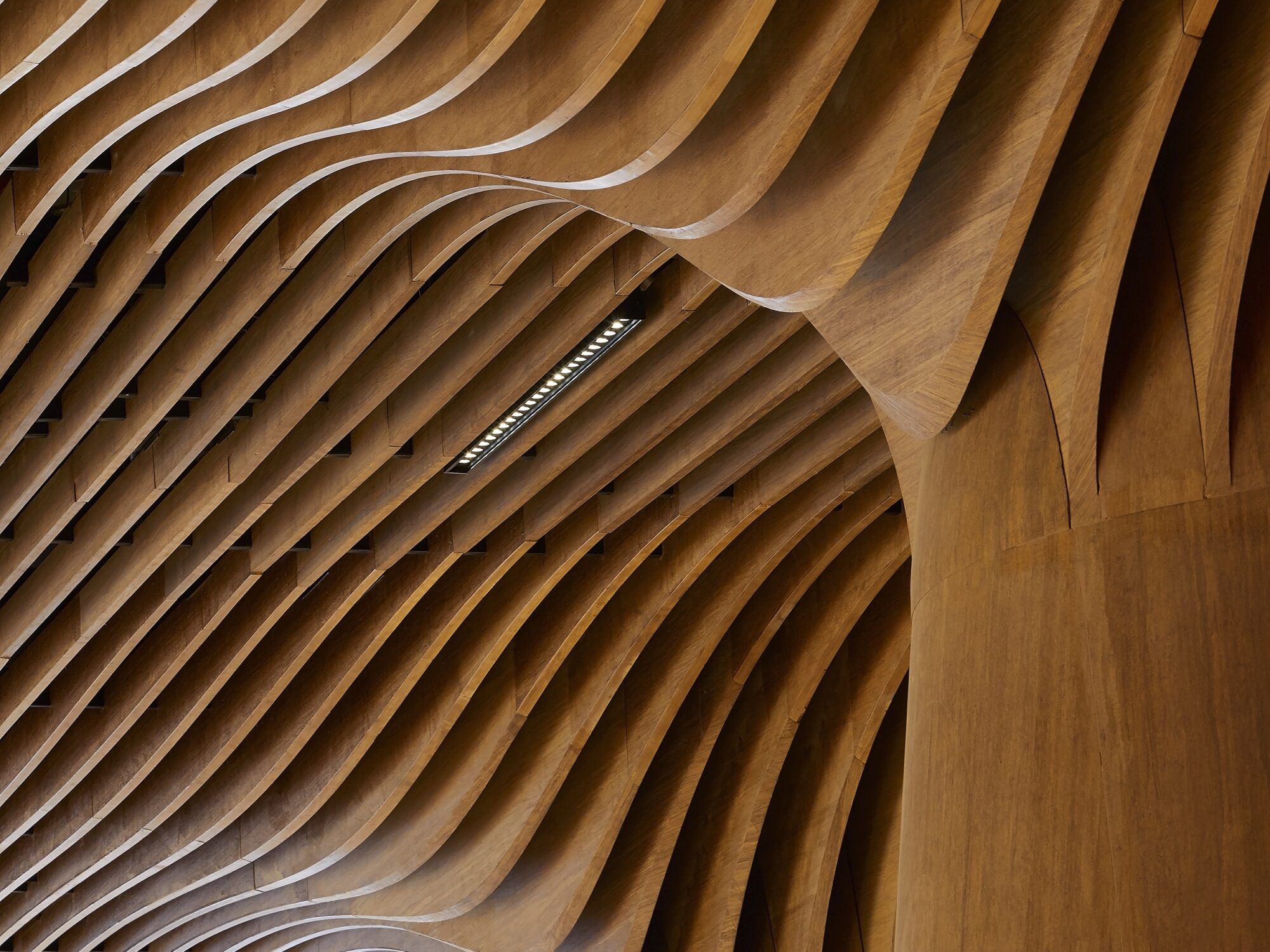Panel decorativo de madera - Todos los fabricantes de la arquitectura y del  design